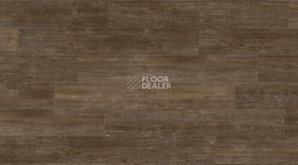 Кварцвиниловые полы Creation 70 0804 Solid Glam Sherwood фото 1 | FLOORDEALER